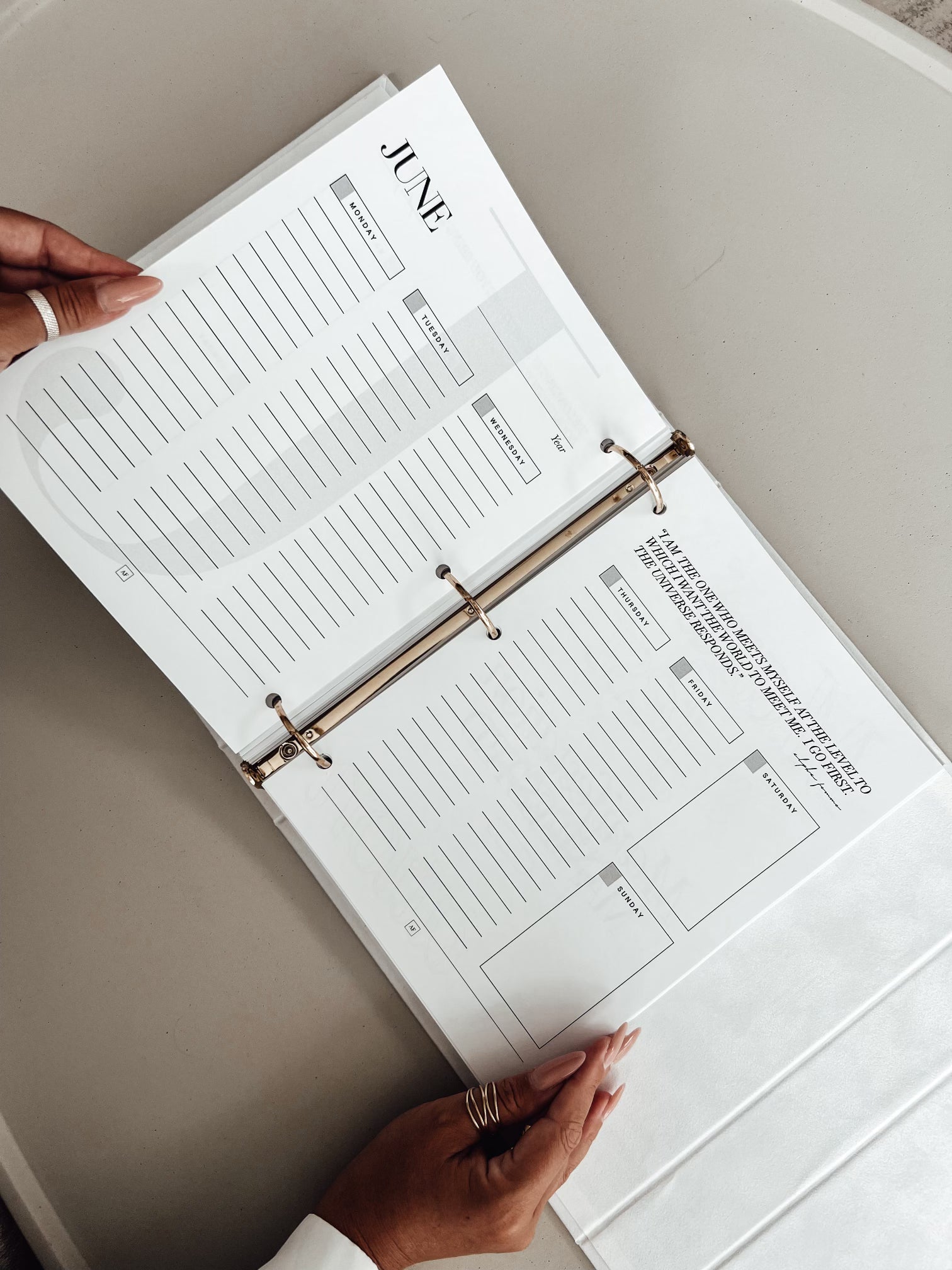 ALPHA FEMME Non Dated Planner Alphafemmeofficial Alpha femme non dated planner alphafemmeofficial